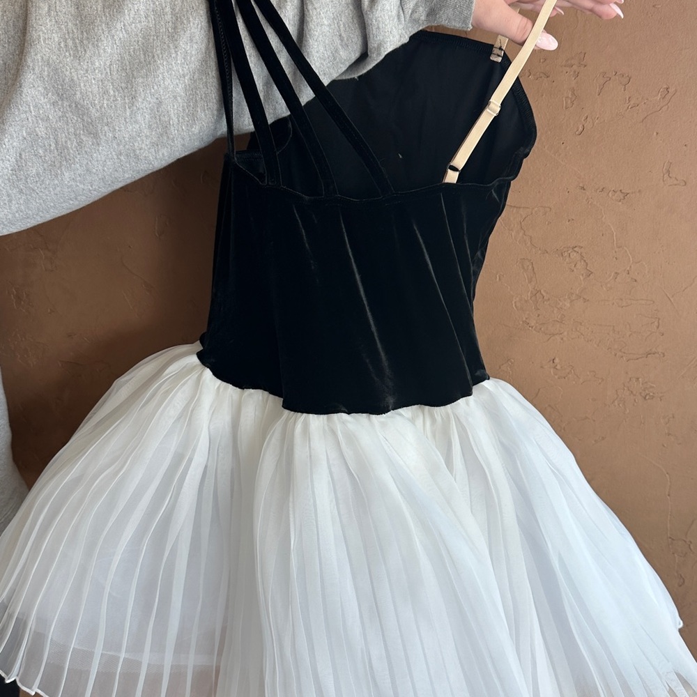 Beautiful black and white ballet costume.  Top is black velvet.